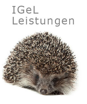 Igel-Leistungen sind Sonderleistungen Ihrer Frauenartzpraxis